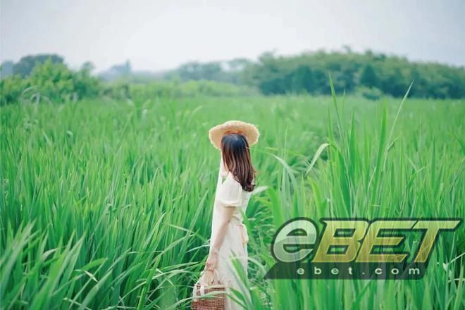 eBET-最高级的养生：运动、赚钱、独处(图1)